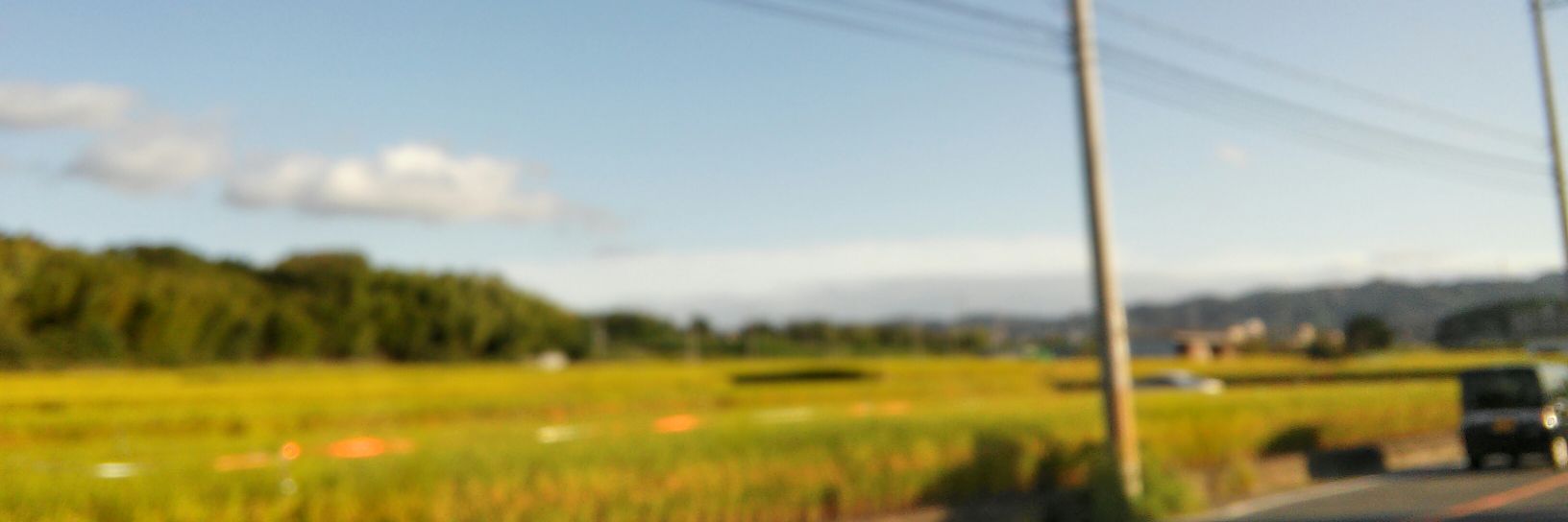 fffuzzzy's profile banner image