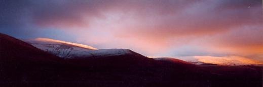 Dr Rowena Jenkins 💙 banner