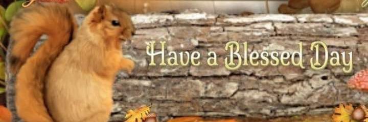 DBoop4's profile banner image