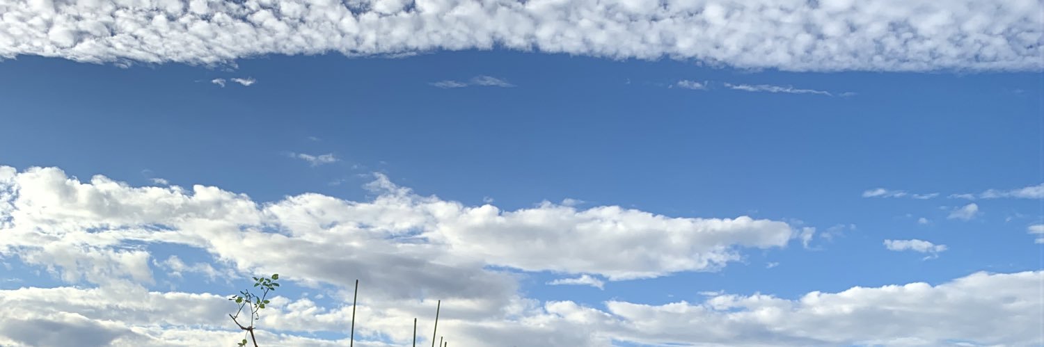 wabisabiTM's profile banner image