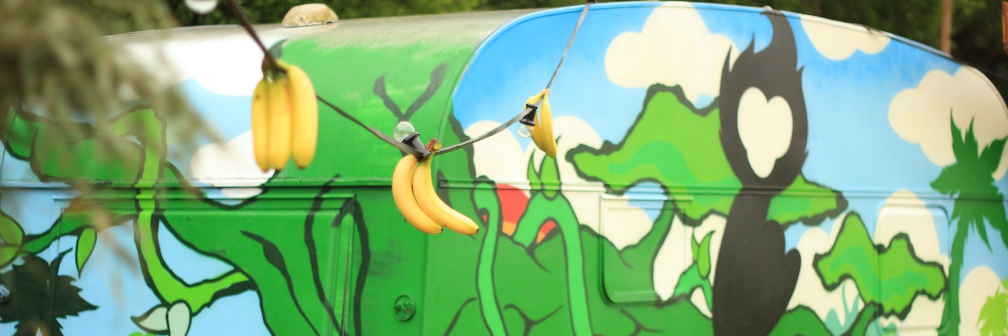 ColoredMonkeys's profile banner image
