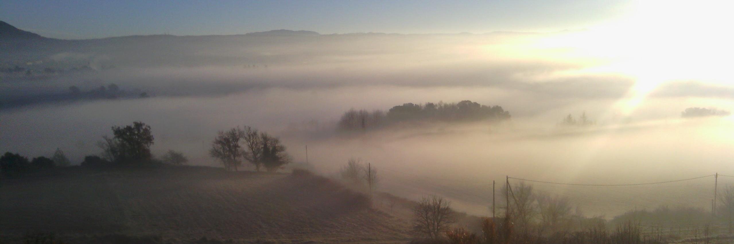 Amelia Fernández Cel banner