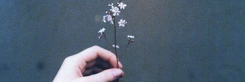 STELLA_E's profile banner image