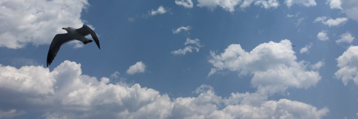 senjin's profile banner image