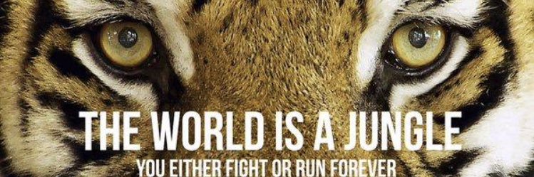 Corey Callens banner