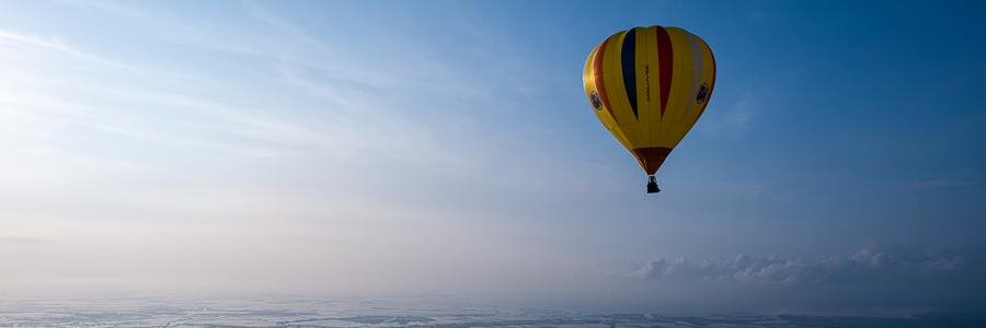 palibut.com banner