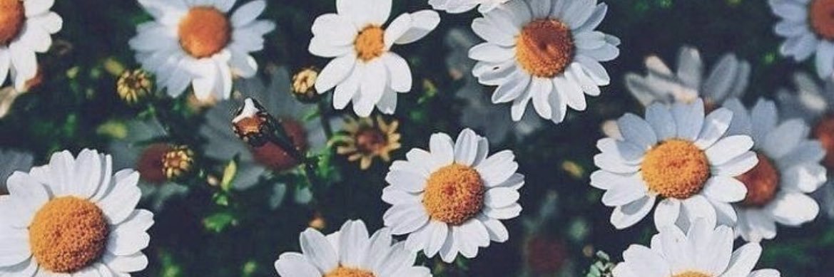 ohimess's profile banner image