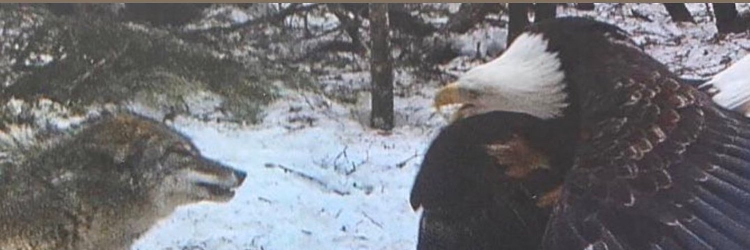 👁️🇺🇸True⚖️Independent Conservative banner