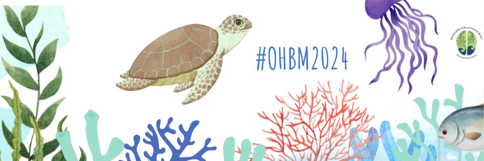 OHBM Sustainability & Environment Action's banner