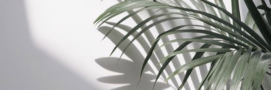 khatbrim's profile banner image