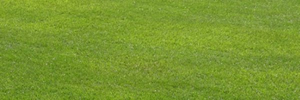 MIASANFANS's profile banner image