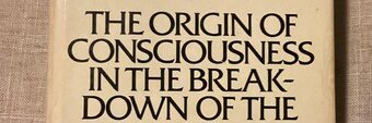 BrotatoX banner