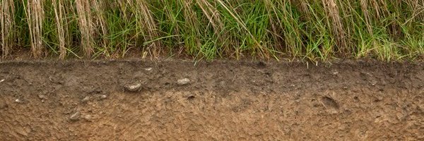 SFranzBender1 Profile Banner