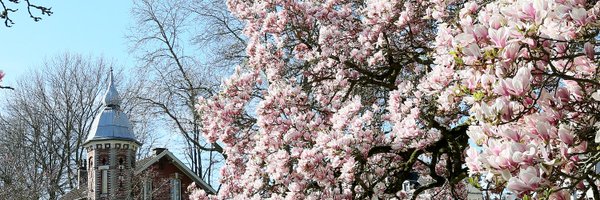 MacarezF Profile Banner