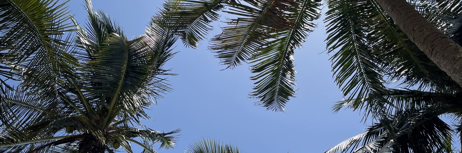 liampayne1415's profile banner image