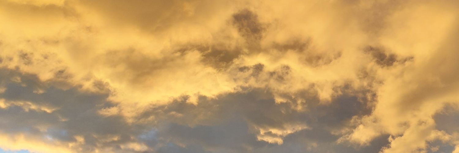 Ichwendemich Mitgrausenab🧡🖤 banner