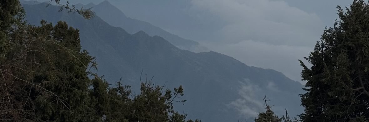 عبدالله القحطاني banner