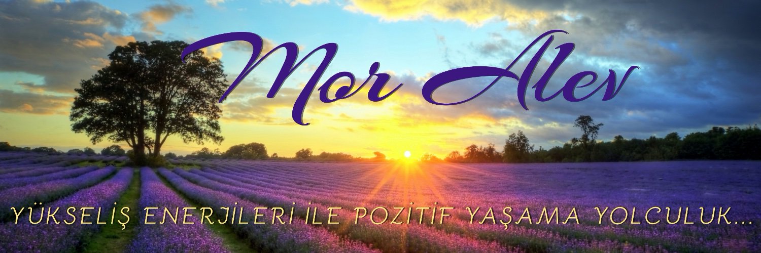 Mor_Alev's profile banner image