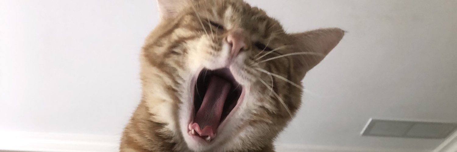 CauthenKelsey's profile banner image