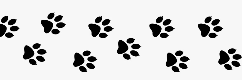 Cherry Wolfox AD banner