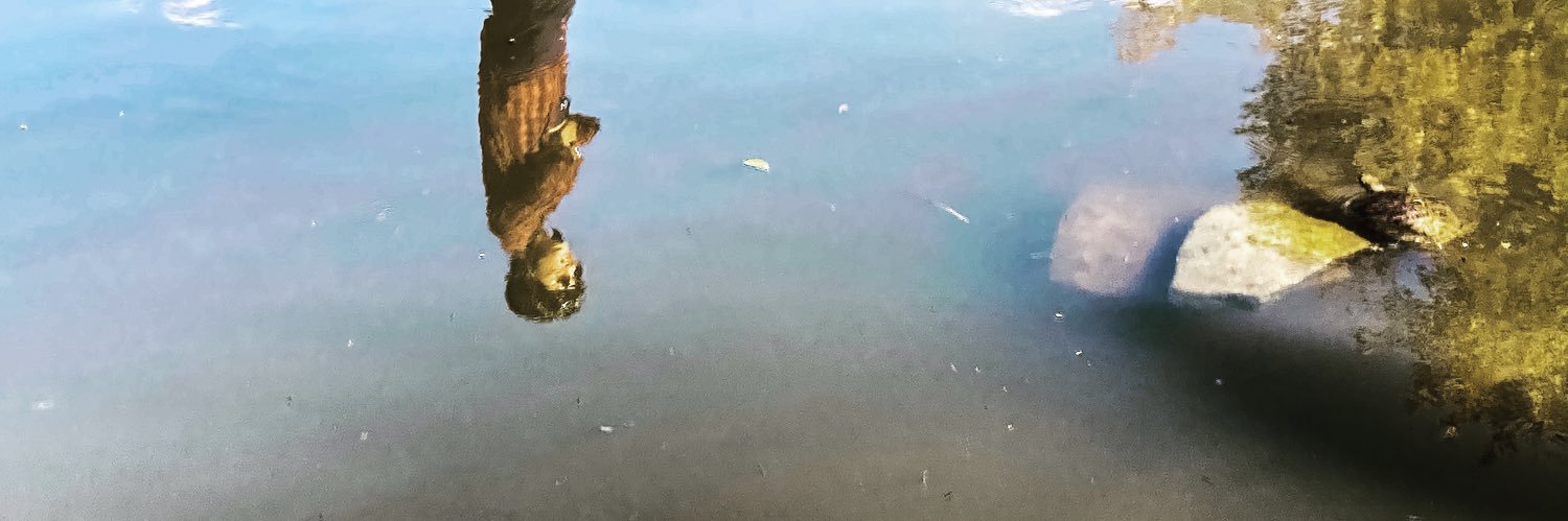 Major the Wonerdog (🙈,🙉) banner