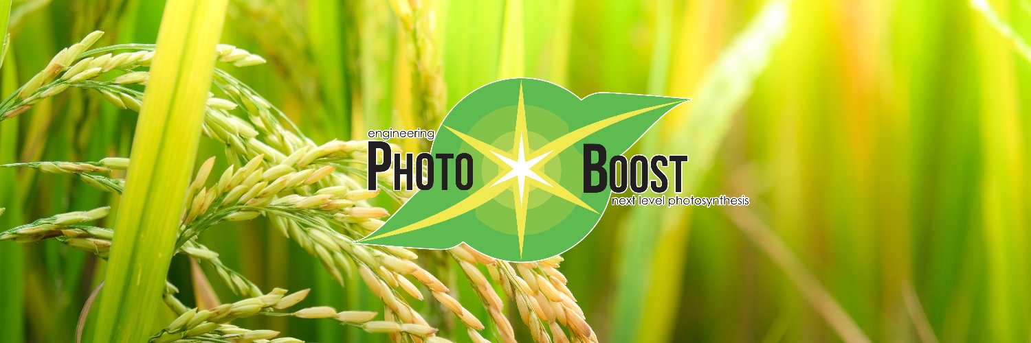Photo Boost banner