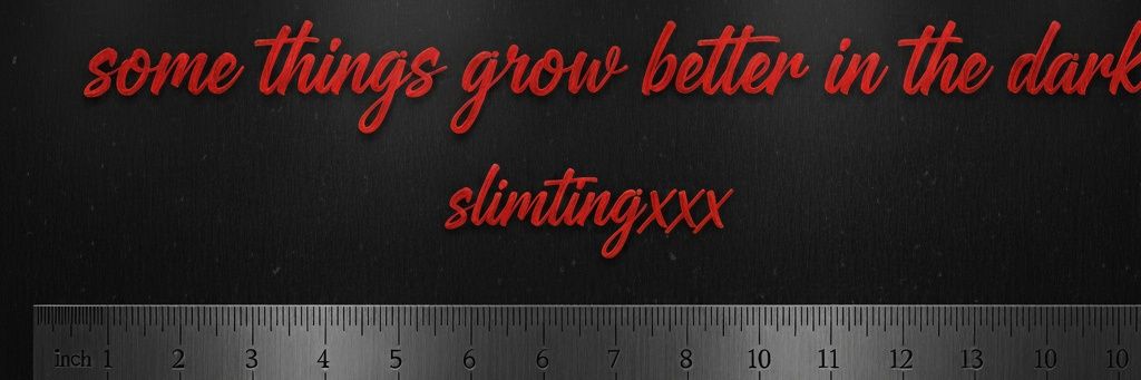 Slimtingxxx banner