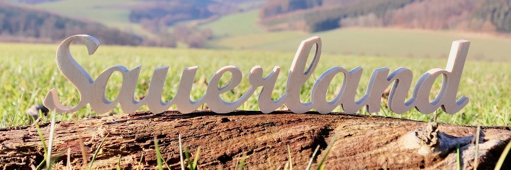 Maxwell Marfo banner