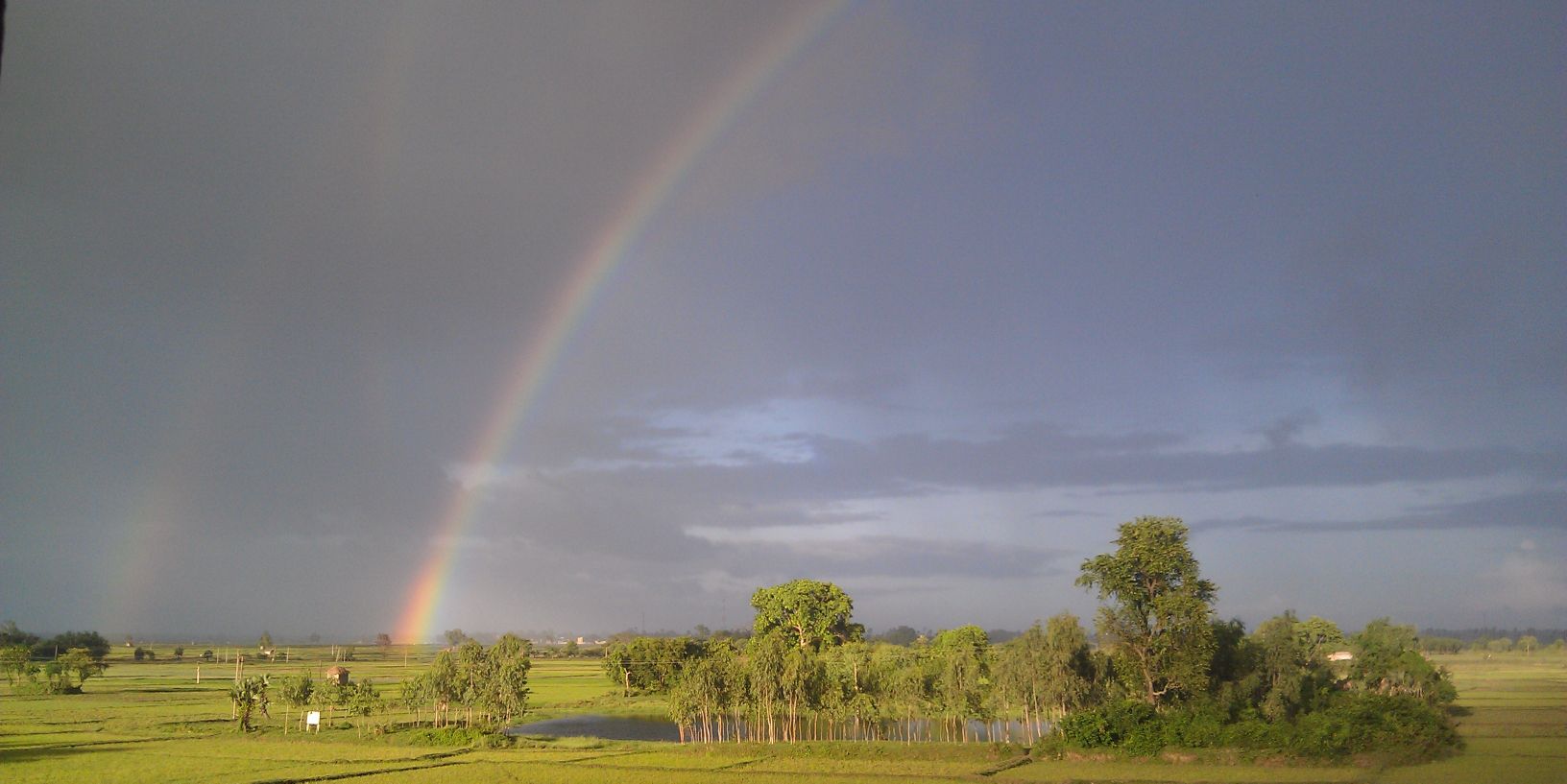 MOHAR75's profile banner image
