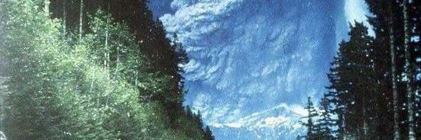 zlnk_t's profile banner image