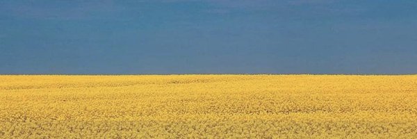 rhcaseby Profile Banner