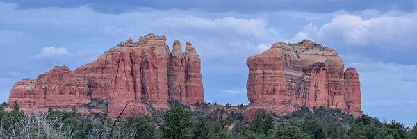 Anthony1ZebraL1 Profile Banner