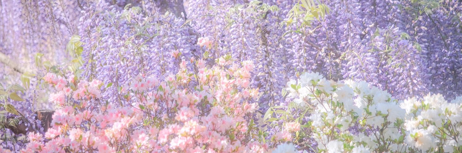knyn_luv's profile banner image
