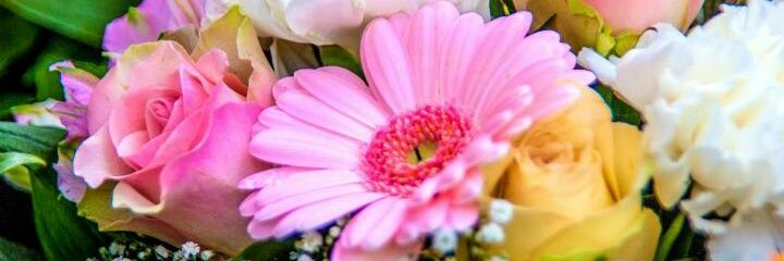 JawaherRose's profile banner image