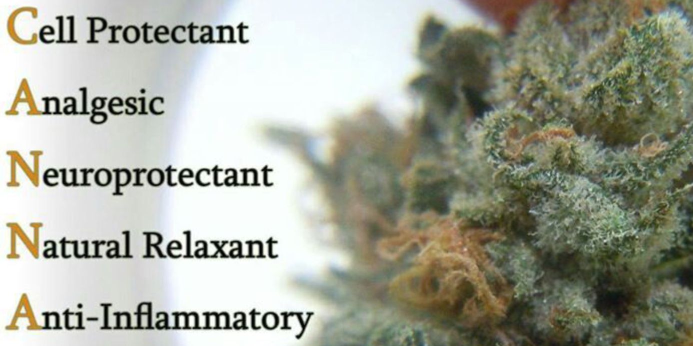 H.T. Pot-Spock banner