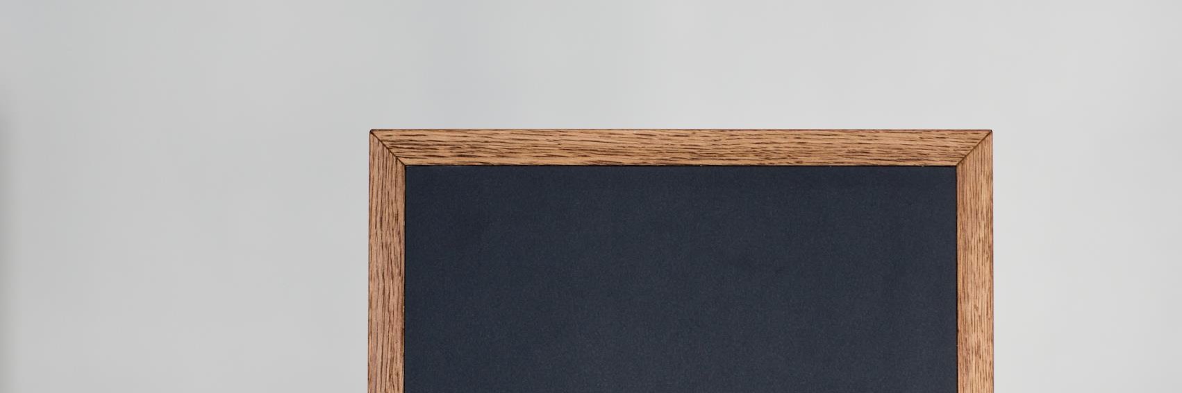 Steinunn Arnardottir banner