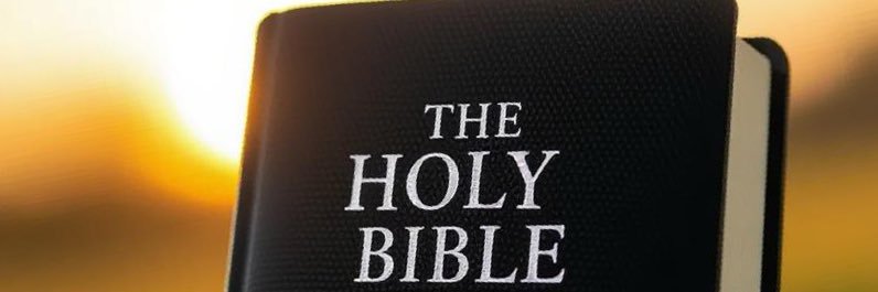 Duke of Suffolk banner