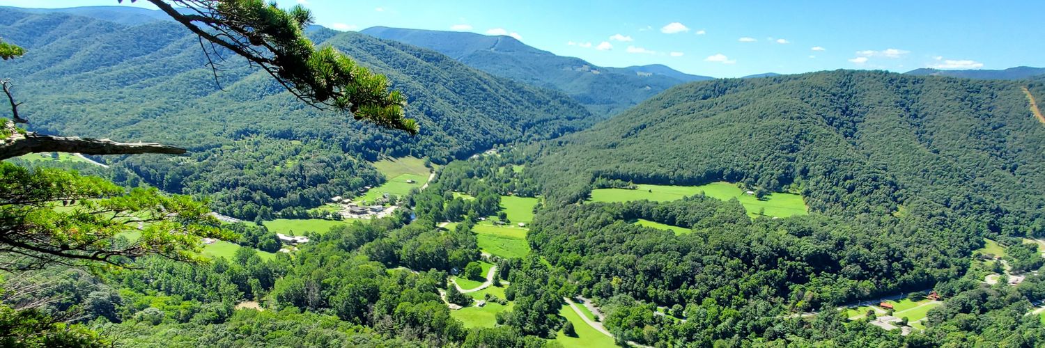 The Untitled Paradigm banner