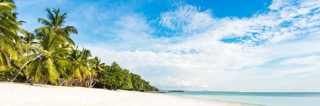 La Chris⭐⭐ banner