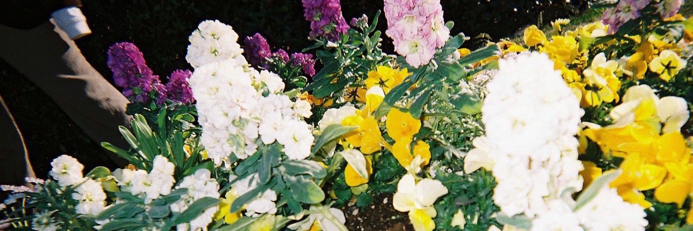 mkksj24's profile banner image