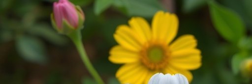 ReplayILY's profile banner image