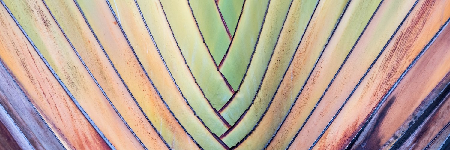 Zevin Asset Management banner