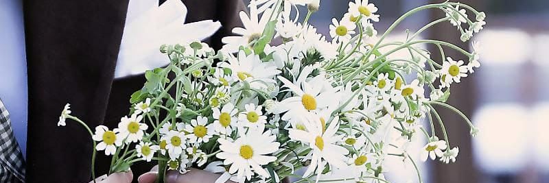 Sulime814's profile banner image