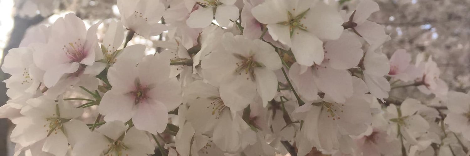 fbuddymty's profile banner image