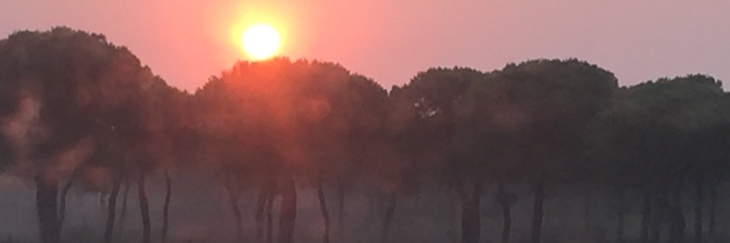 reylar88's profile banner image
