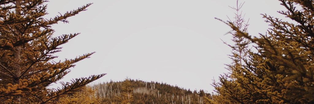 Harrison Hickman banner