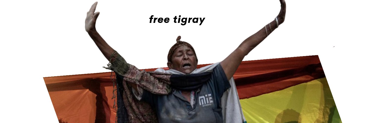 FREE TIGRAY MOVEMENT banner