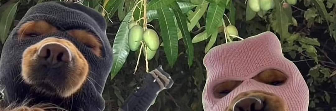 dekkai_cheese's profile banner image