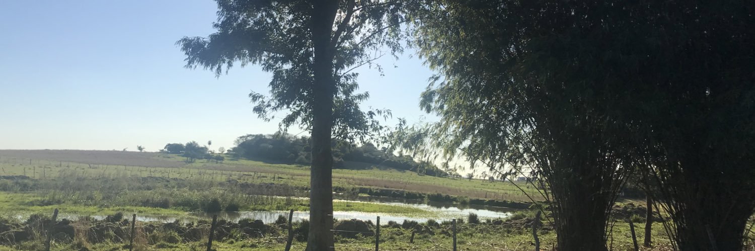 Paraguaya🇵🇾 banner