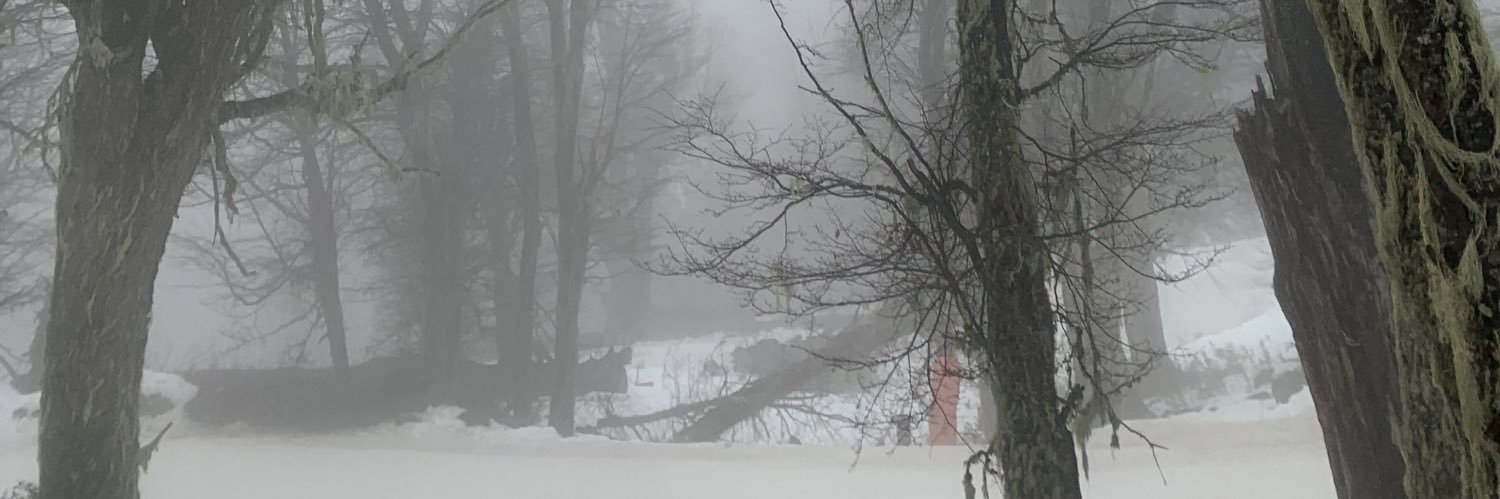 FrancoChimenti's profile banner image